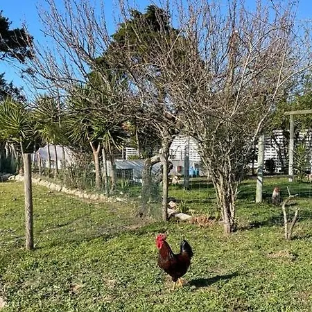 Villa Villas Arneiro Ii, Vimeiro Lourinha